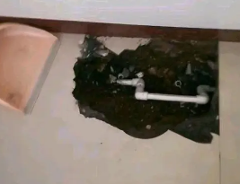 阜城卫生间测漏水多少钱